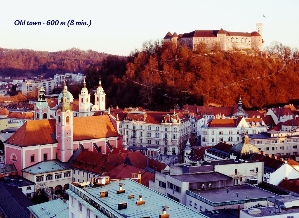 Slovenian Art Story Lejlighed Ljubljana Eksteriør billede